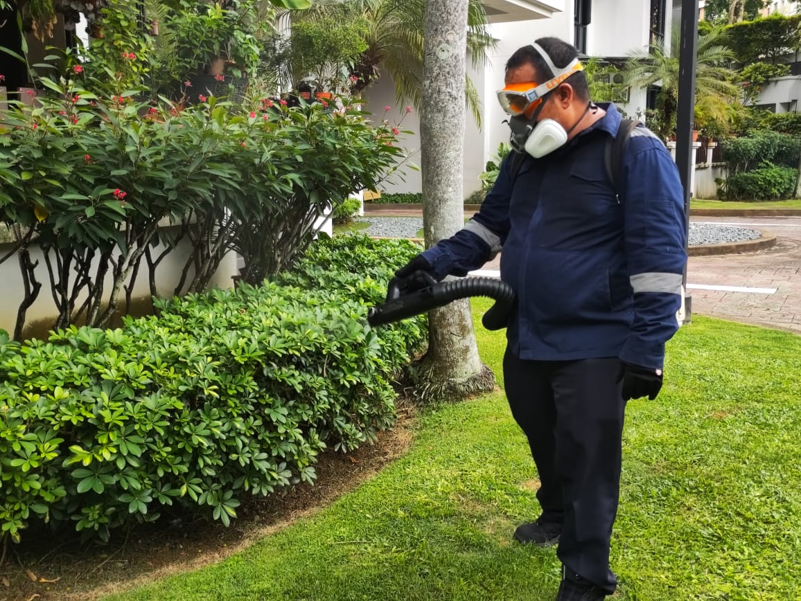 Bedbug Control
