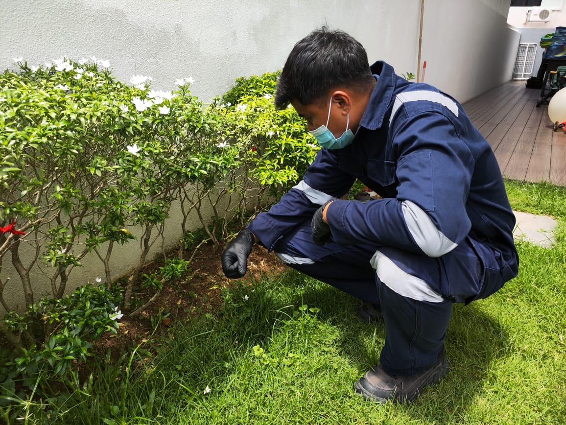 Rodent Control