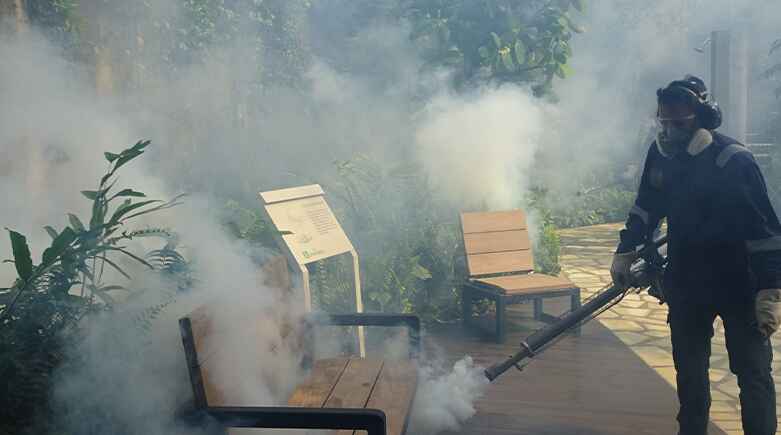 Mosquito control service image