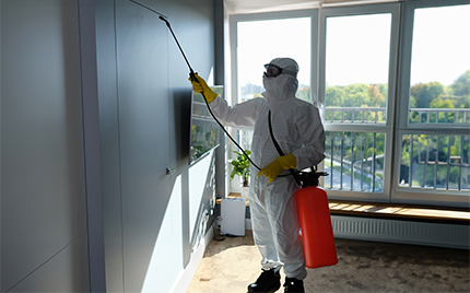 Safe pest control solutions banner