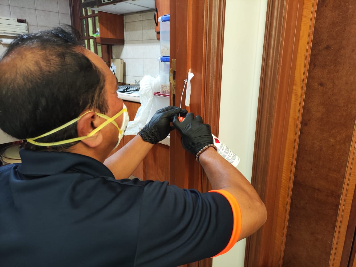 Experts in Pest Control That Works