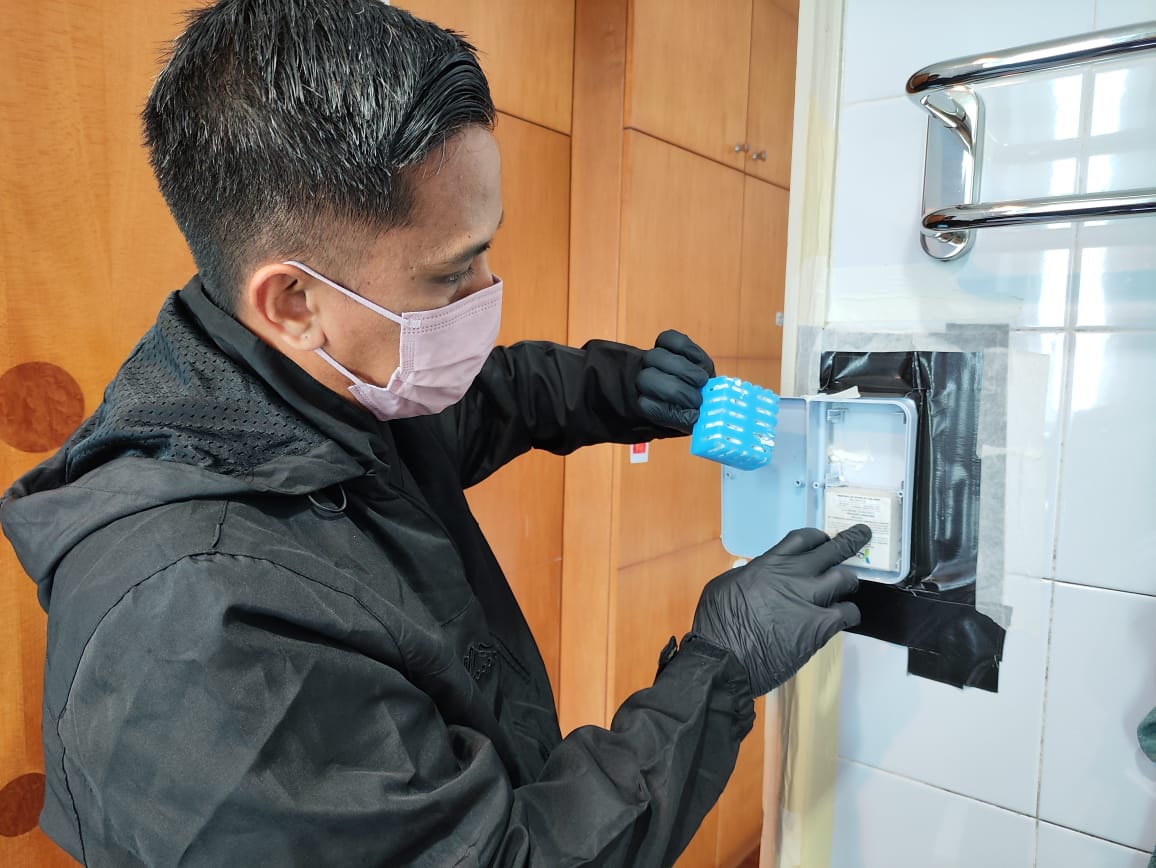 Safe Pest Control Solutions