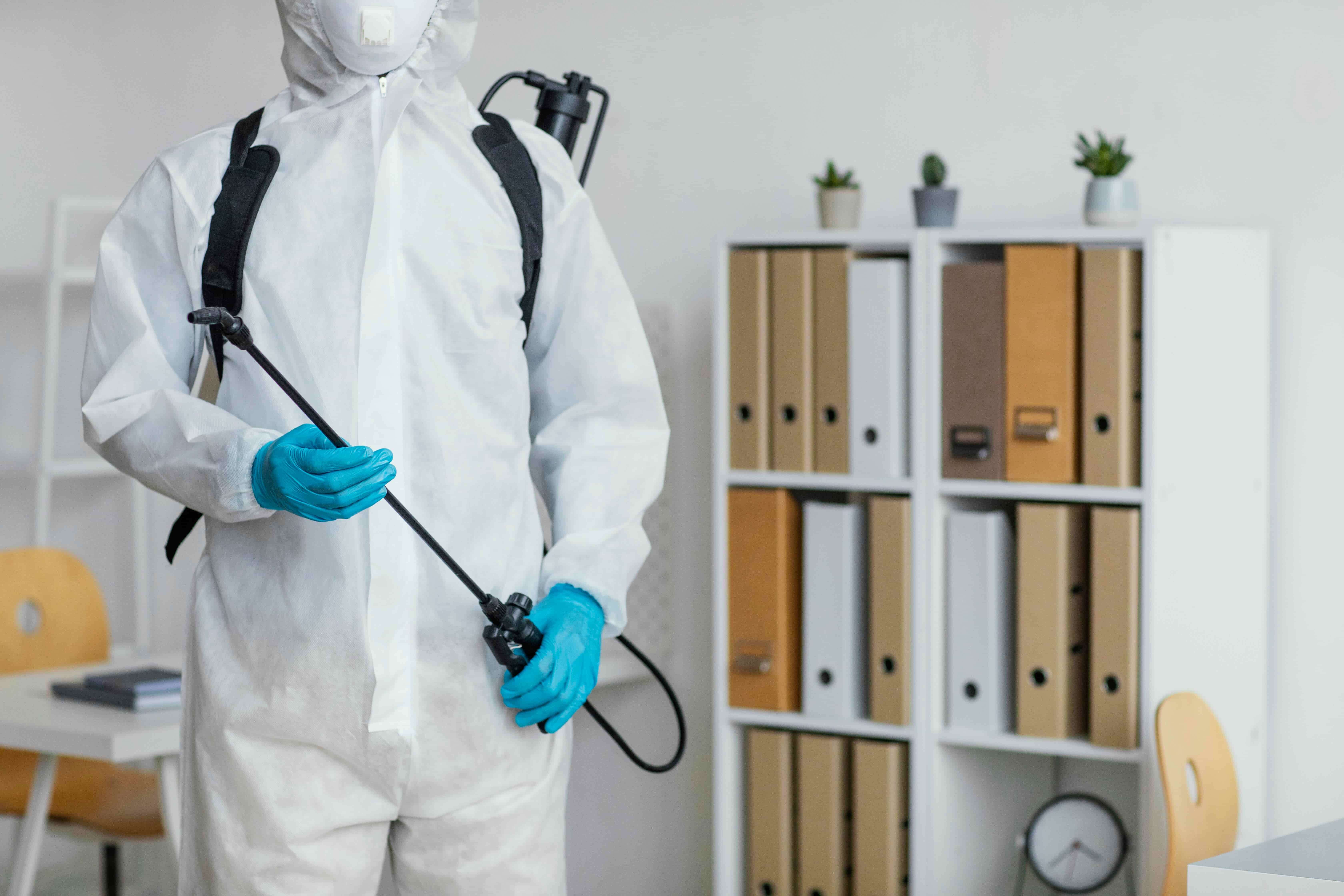 Professional Pest Control Services Right Now