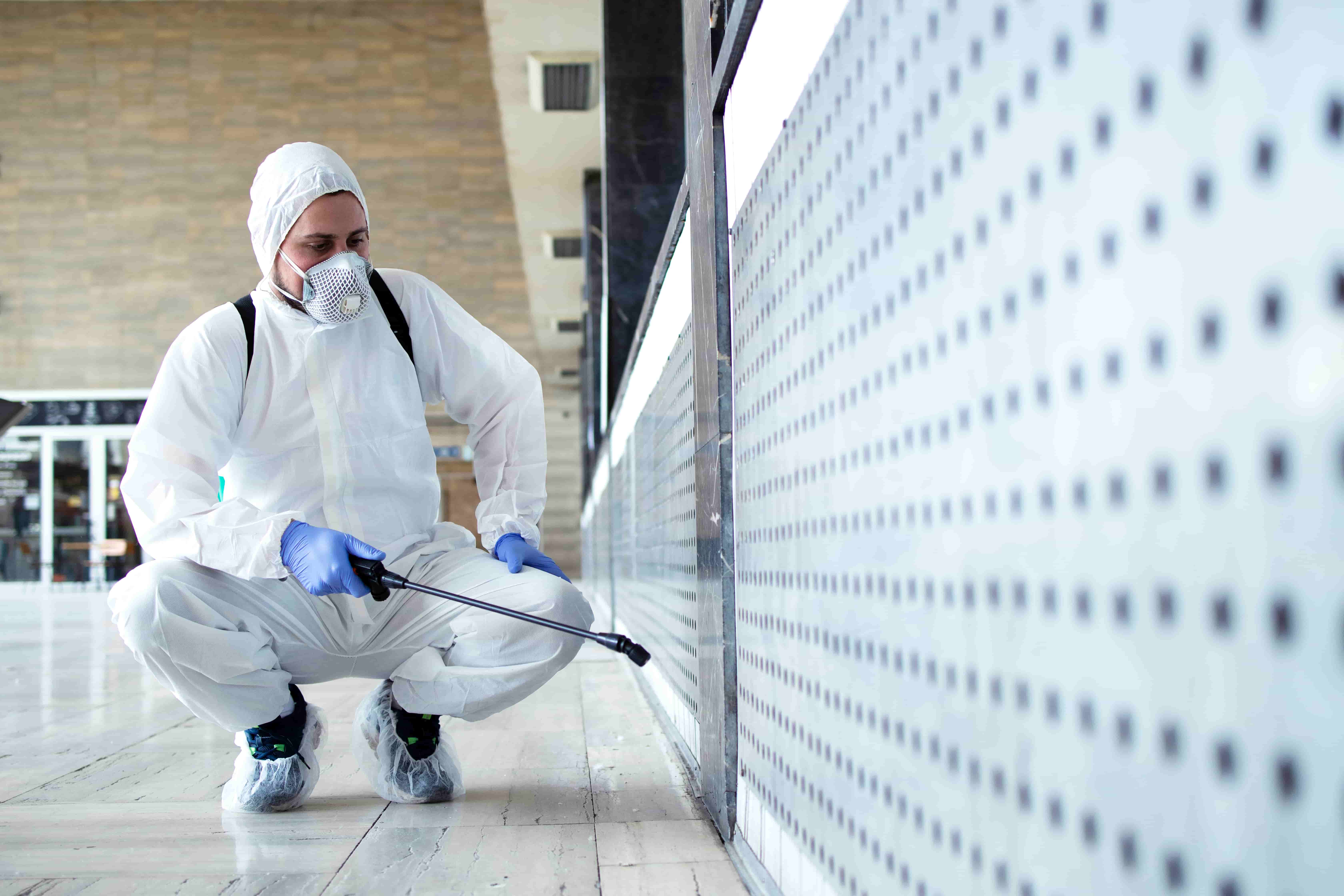 Subterranean Termites Treatment in Singapore