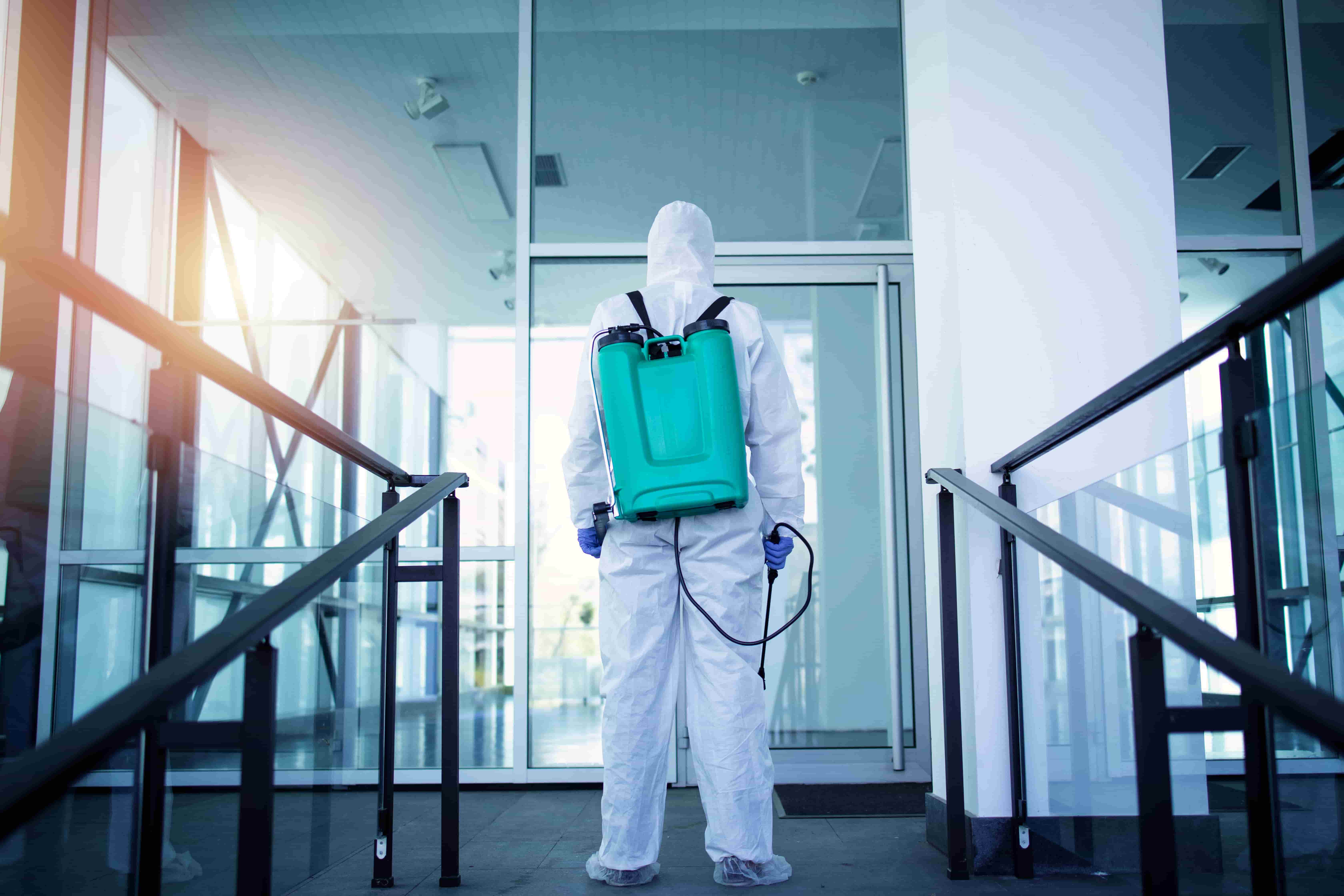Termite Inspection in Singapore