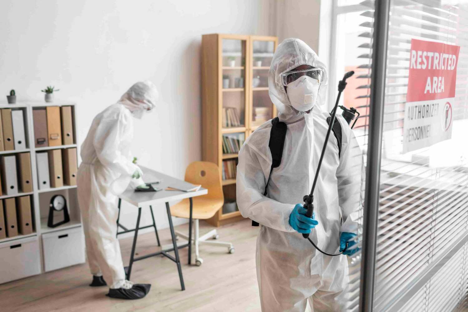 7 Signs You Need a Professional Termite Control